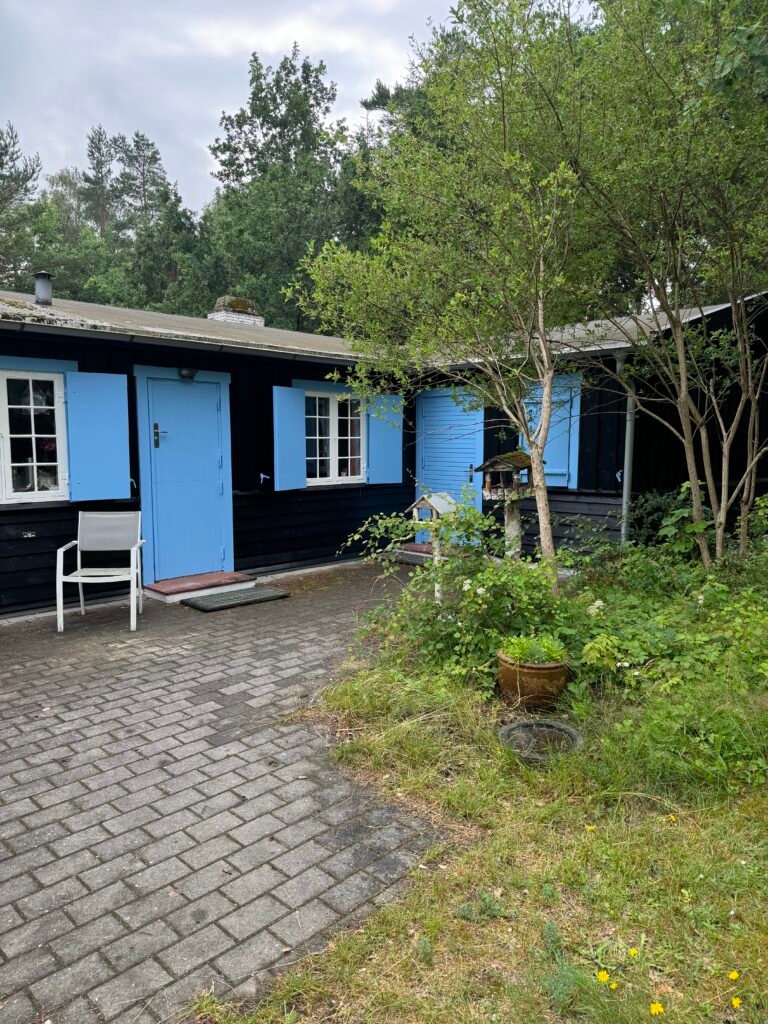 Blåmalet træhus i have efter udvendigt malerarbejde